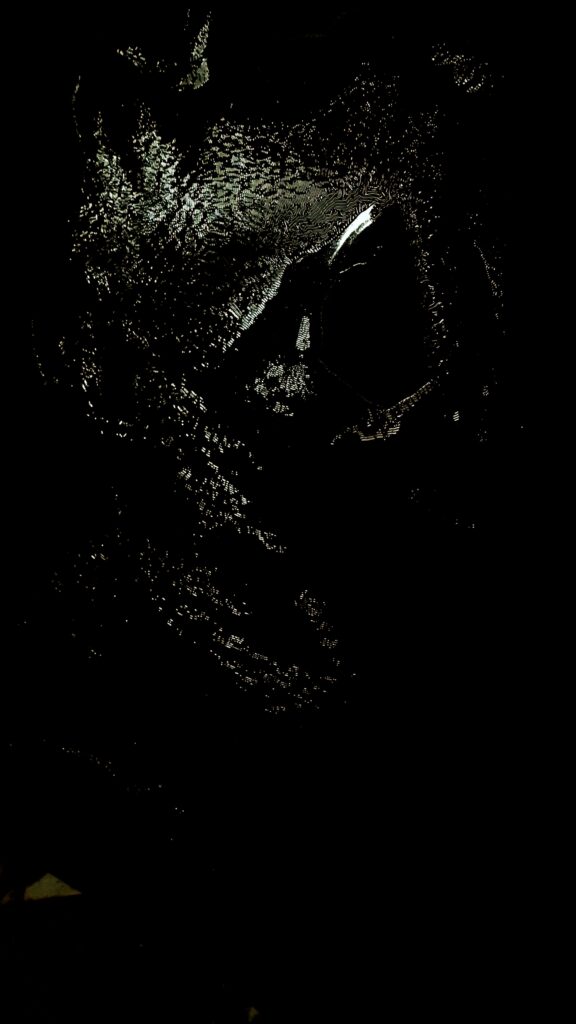ZOOBLACK SHE Raul Gabriel 2019 150x150 detail