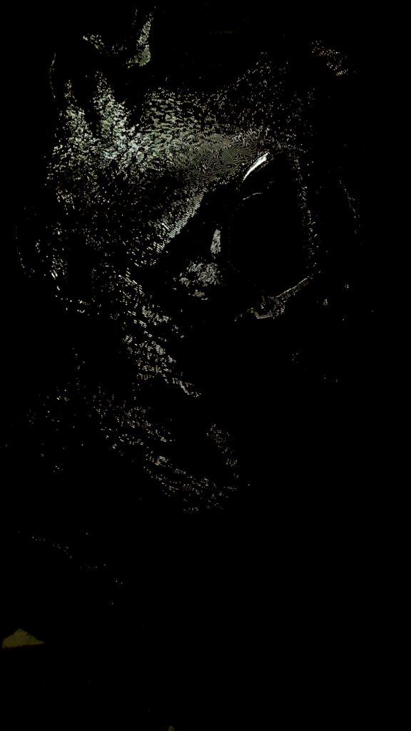 ZOOBLACK SHE Raul Gabriel 2019 150x150 detail