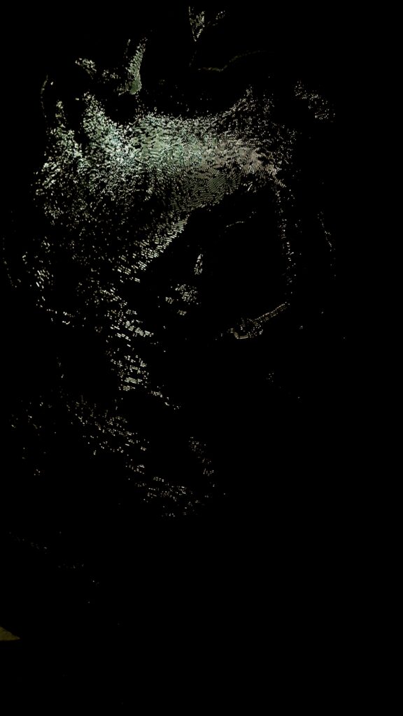 ZOOBLACK SHE Raul Gabriel 2019 150x150 detail